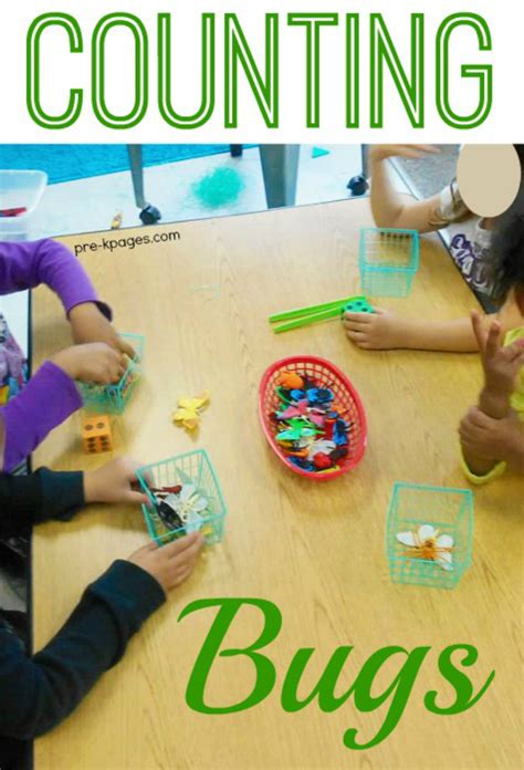 Catching Bugs Counting Game For Preschoolers Pre K Pages