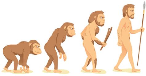 Early Man Illustrations Royalty Free Vector Graphics And Clip Art Istock