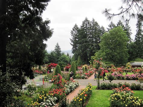 The peninsula park rose garden is the only sunken rose garden in oregon and is where the official portland rose was cultivated. International Rose Test Garden - Urban Park in Portland ...