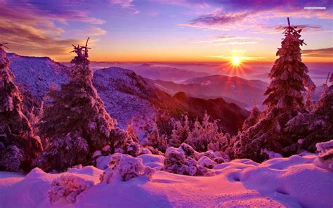 Purple Winter Sunset Walldevil