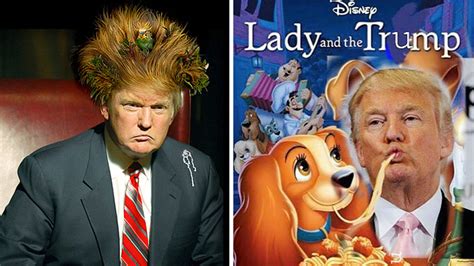 10 Memes De Donald Trump Que Te Harán Correr A Votar Por Otro Candidato Video Telemundo