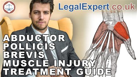 Medical definition of abductor pollicis brevis: Abductor Pollicis Brevis Muscle Injury Treatment Guide ...