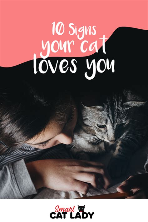 10 Signs Your Cat Loves You Cat Love Funny Cat Ts Cat Biting