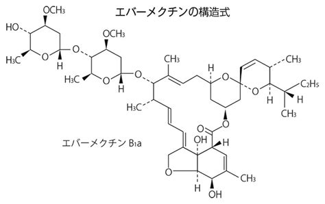 We did not find results for: 大村氏にノーベル医学生理学賞‐日本薬学会会員で初の快挙 ...