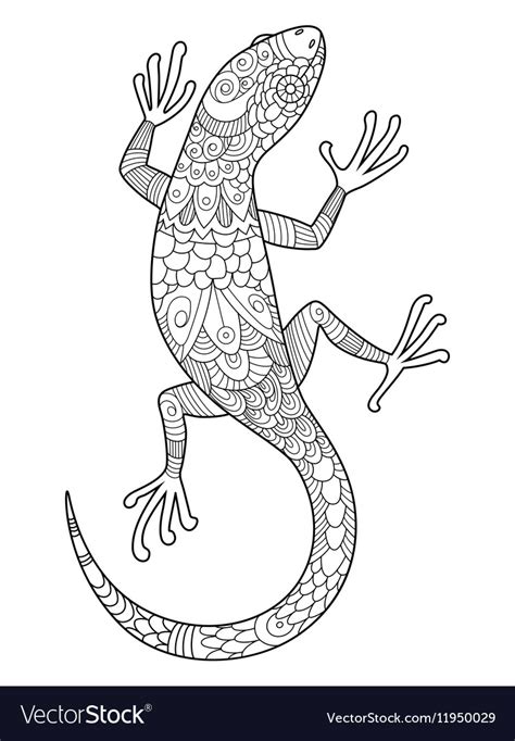 Lizard coloring book for adults Royalty Free Vector Image