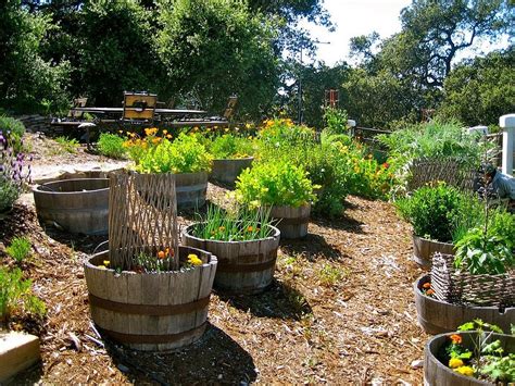 While most crops can grow as long as they're planted, growing outside their season can be a bust. Best Edible Garden Ideas for an Organic, Healthy Lifestyle