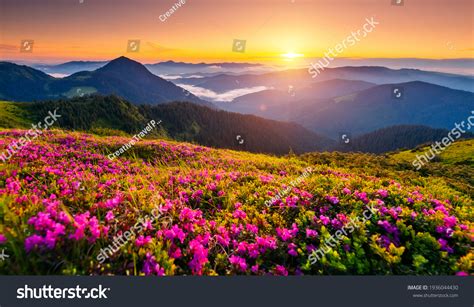 4228864 Beauty Mountain Sceneries Images Stock Photos And Vectors