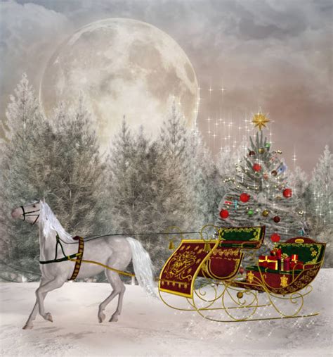 Christmashorsesnowsleigh Stock Photos Pictures And Royalty Free