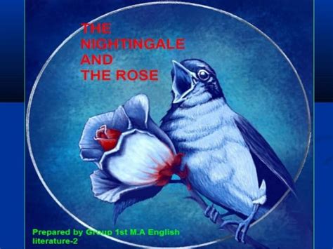 😊 The Nightingale And The Rose Characters The Nightingale And The Rose