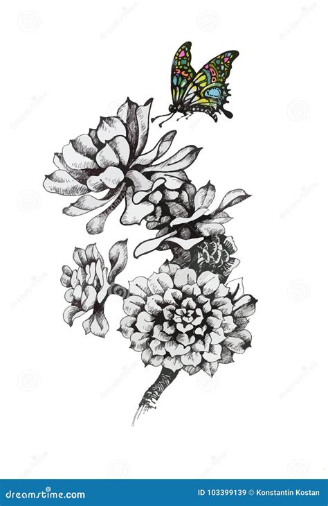 Hand Drawn Monochrome Flowers And Color Butterfly Isolated On White