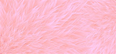 Adorable Pink Furry Background Design Wallpaper Pink Furry Background
