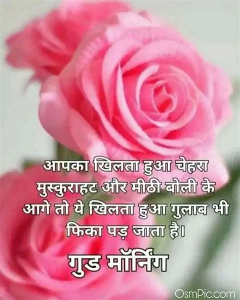 Maybe you would like to learn more about one of these? New Good Morning Hindi Images Quotes Shayari Pictures Hd Photos