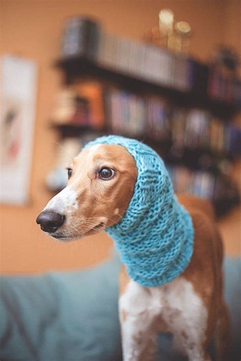 Wool Dog Snood Custom Made To Order Warm Snood For Dog Etsy