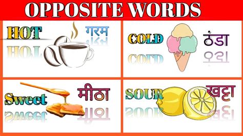 Opposite Words । विलोम शब्द सीखें। Opposite Words In Hindi And English