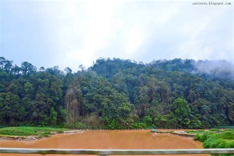 The buses depart from kuala lumpur to cameron highlands via terminal bersepadu selatan (tbs), the long distance busses hub in kuala lumpur. Entree Kibbles: Day Four (Down the Highlands to Kuala ...