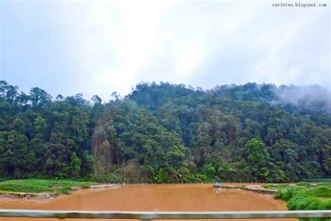 We recommend booking cameron highlands tours ahead of time to secure your spot. Entree Kibbles: Day Four (Down the Highlands to Kuala ...