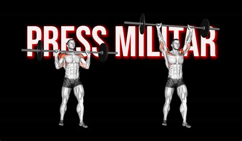 Press Militar Guía Para Principiantes Dorian Gym