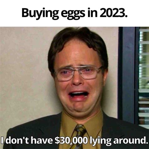 The Funniest Expensive Egg Memes In I Want To Cry Make You Cry