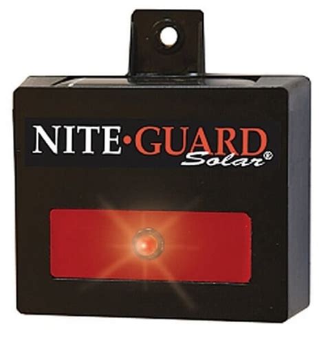 Nite Guard Solar Predator Control Light Review Getting Rid Of Pests