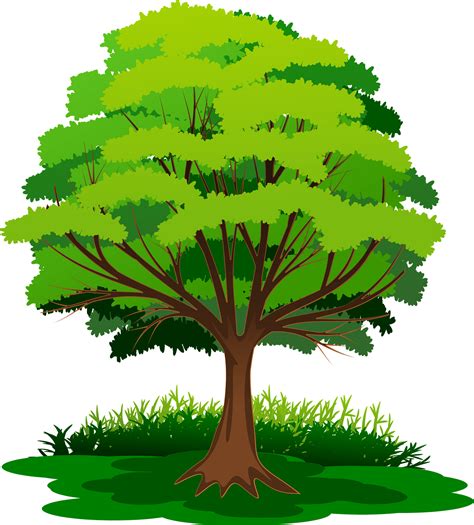 Tree With Green Leaves In The Grass Clipart Free Download Clip Art Library