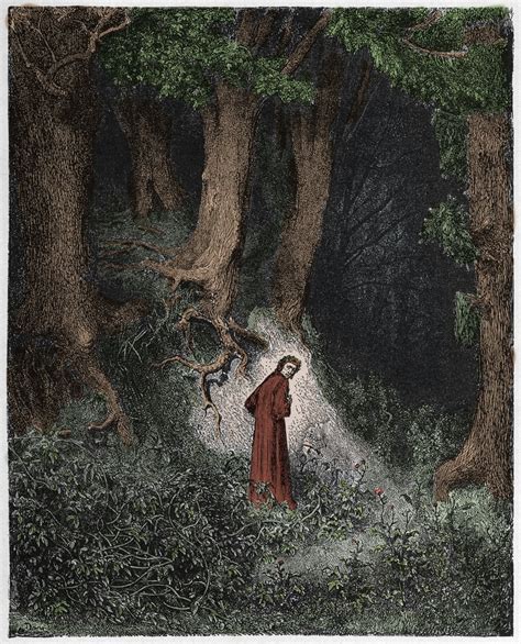 Inferno Canto 1 Dante In The Savage Wood Illustration From The Divine Comedy By Dante