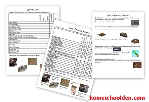 Animals and Their Characteristics (Free Worksheet) - Homeschool Den