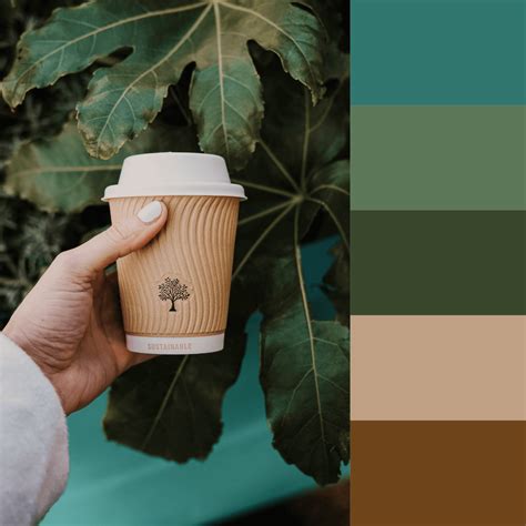 Colour Palettes For Sustainable And Vegan Businesses Coconut Design