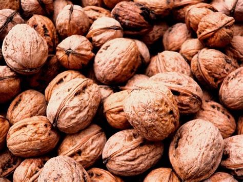 A cosa servono le calorie? Cibo e salute: conosci i super alimenti? - Bigodino
