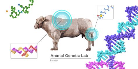 Animal Genetics Labster
