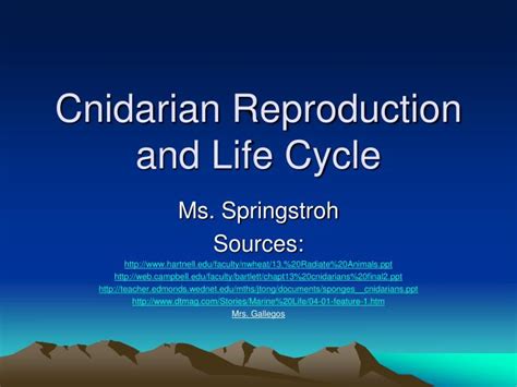 Ppt Cnidarian Reproduction And Life Cycle Powerpoint Presentation
