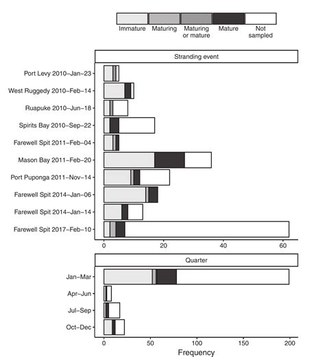 Sexual Maturation In Male Long Finned Pilot Whales Globicephala Melas