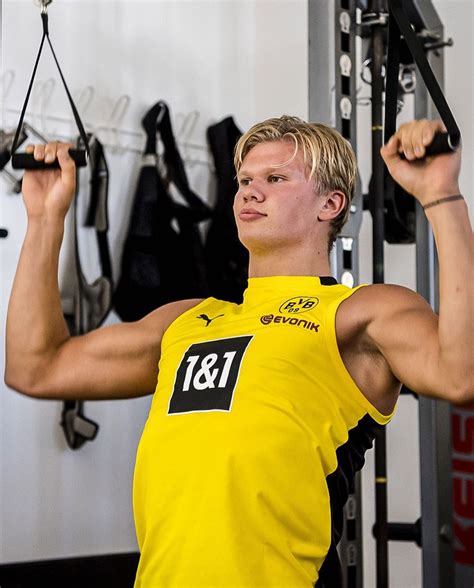 Последние твиты от erling haaland (@erlinghaaland). @433 on Instagram: "Machine 🤖⚙️ @erling.haaland @bvb09" in ...