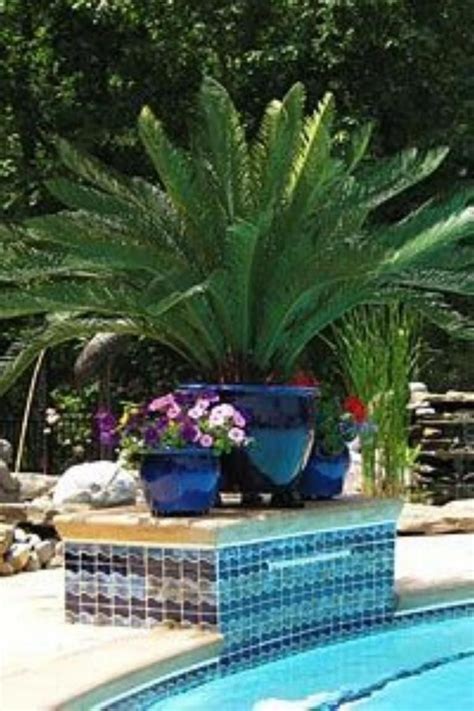Small And Best Backyard Pool Landscaping Ideas Plants Around Pool