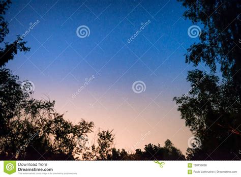 Sunset And Night Dark Blue Sky In Forest Stock Photo Image Of Nature