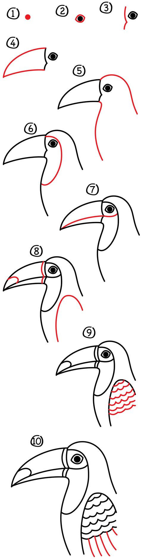 Best How To Draw A Toucan In The World Don T Miss Out Howtopencil4