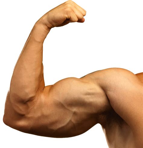 Muscle Man Png Image Purepng Free Transparent Cc0 Png Image Library