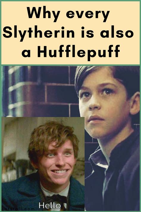Why Youre Both A Slytherin And A Hufflepuff Hufflepuff Slytherin