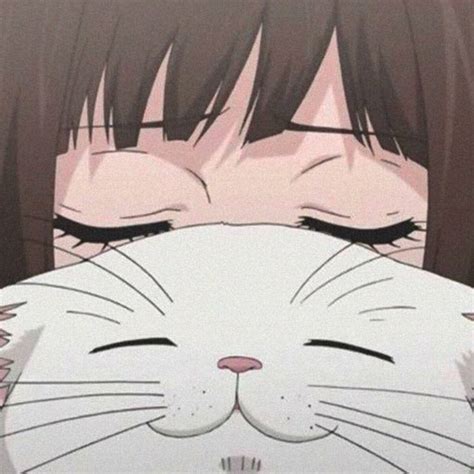 discover 76 anime cat pfp best in duhocakina