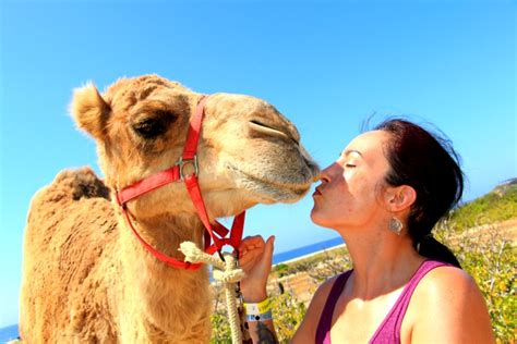 Three souls from different cultures and countries together of skybite , reverb myles, reaper model and joe. We found it: The Cabo resort that's perfect for active ...