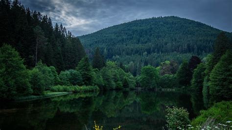 River Between Green Trees Forest Mountain Slope Reflection On Water In