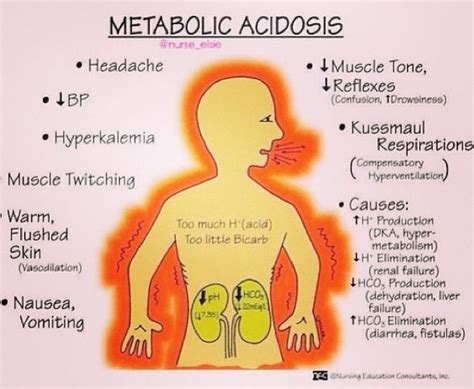 Metabolic Acidosis Nursing Student Nursing Study Pins Pinterest