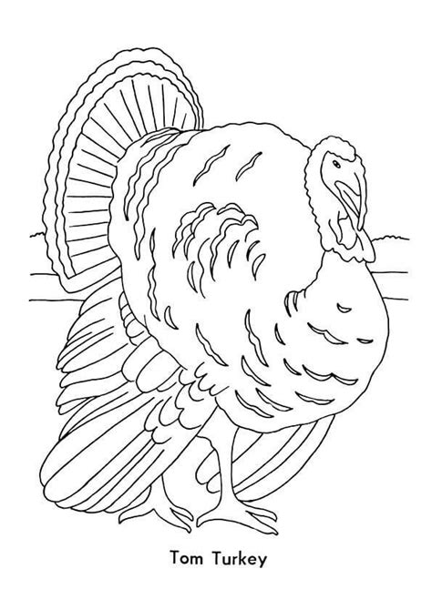 Click from the turkeys coloring pictures below for the printable turkey coloring page. 30 Free Turkey Coloring Pages Printable