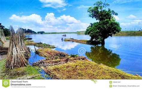 Natural Beauty Of Bangladesh Stock Image Image Of Blue
