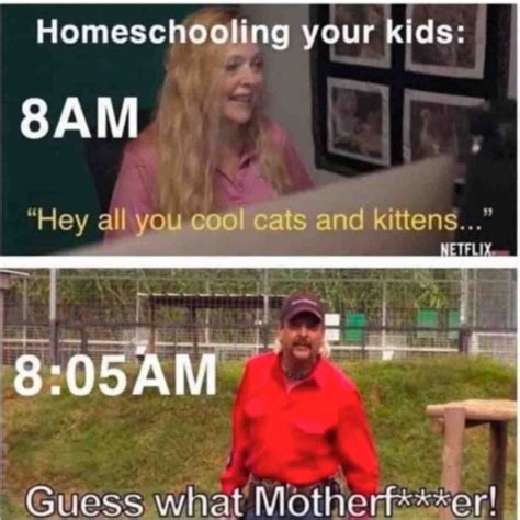 Homeschool Memes Funny Remote Learning Memes For 2020