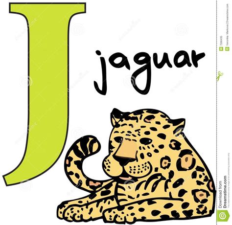 Animal Alphabet J (jaguar) Royalty Free Stock Photo - Image: 7596435