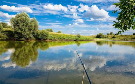 Fly Fishing Wallpapers Top Free Fly Fishing Backgrounds Wallpaperaccess