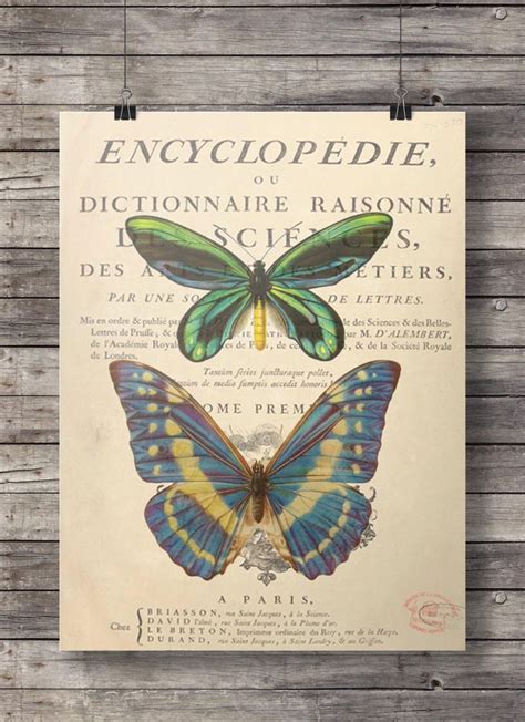 Vintage Textbook Butterflies Dictionary Book Page Art Print Digital