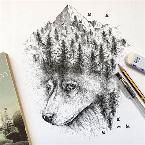 Pen & Ink Animal Illustrations By Italian Artist Alfred ...
