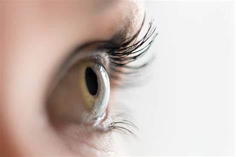 Best Human Eye Side View Stock Photos In 2020 With Images Eye