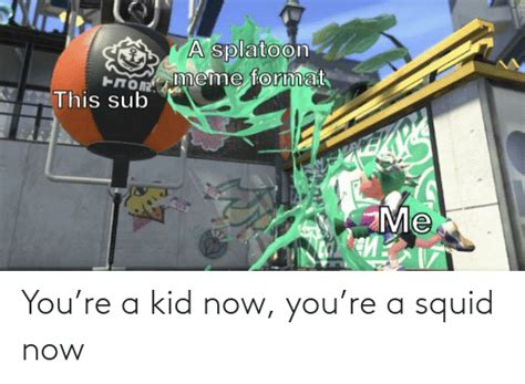 You’re a Kid Now You’re a Squid Now | Reddit Meme on ME.ME